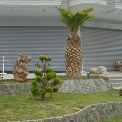 Image00006